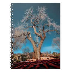 Canyon Road Tree Notebook