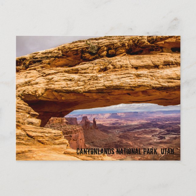 Canyonlands National Park Postcard (Front)