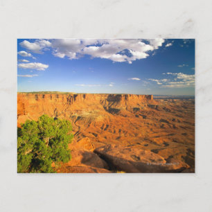 Canyonlands National Park, Utah, United States Postcard
