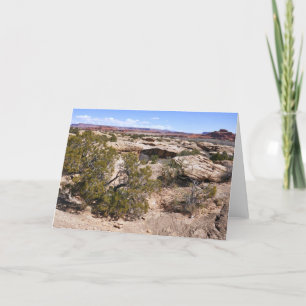 Canyonlands View from Cave Springs Trail Card