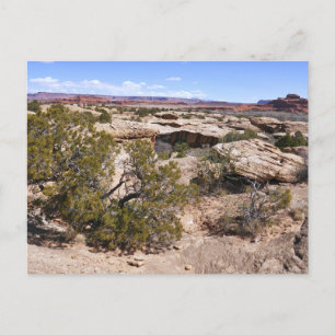 Canyonlands View from Cave Springs Trail Postcard