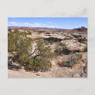 Canyonlands View from Cave Springs Trail Postcard