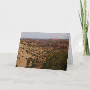 Canyonlands View from Neck Springs Trail Card