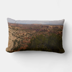 Canyonlands View from Neck Springs Trail Lumbar Cushion