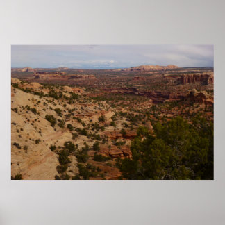 Canyonlands View from Neck Springs Trail Poster