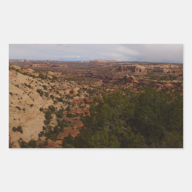 Canyonlands View from Neck Springs Trail Rectangular Sticker (Front)