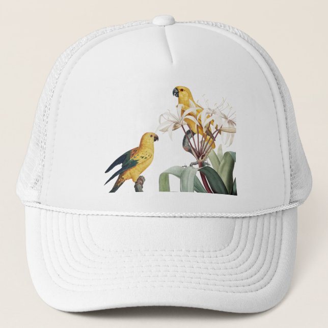 Cap (Front)