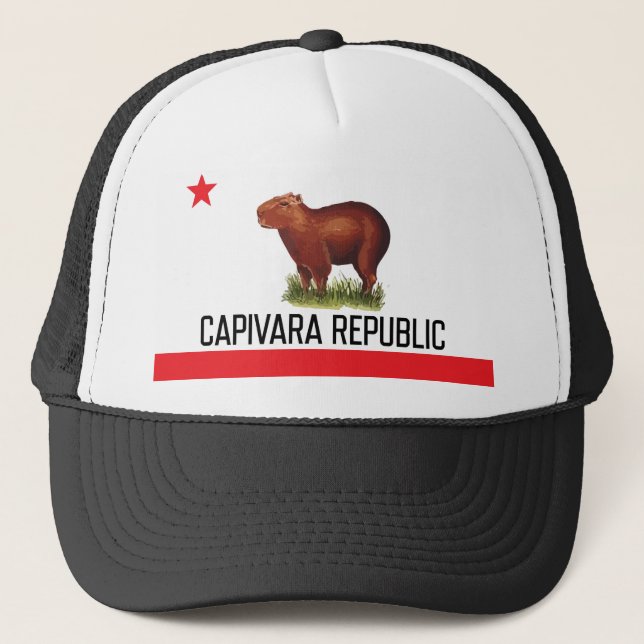 Cap Capivara Republic - NarliStuff (Front)