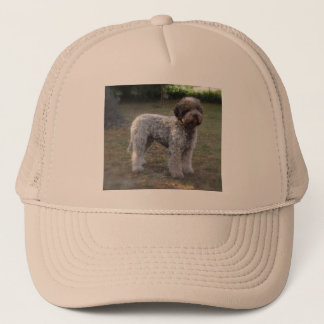 cap lagotto-romagnolo