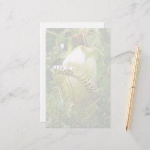 Capanea Grandiflora Stationery