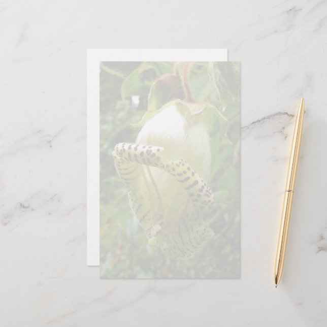 Capanea Grandiflora Stationery (Front/Back In Situ)