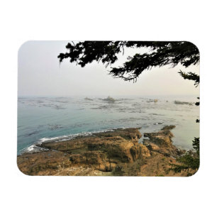 Cape Arago State Park, Oregon Coast Magnet