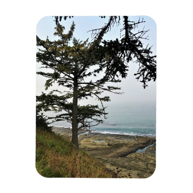 Cape Arago State Park, Oregon Coast Magnet (Vertical)