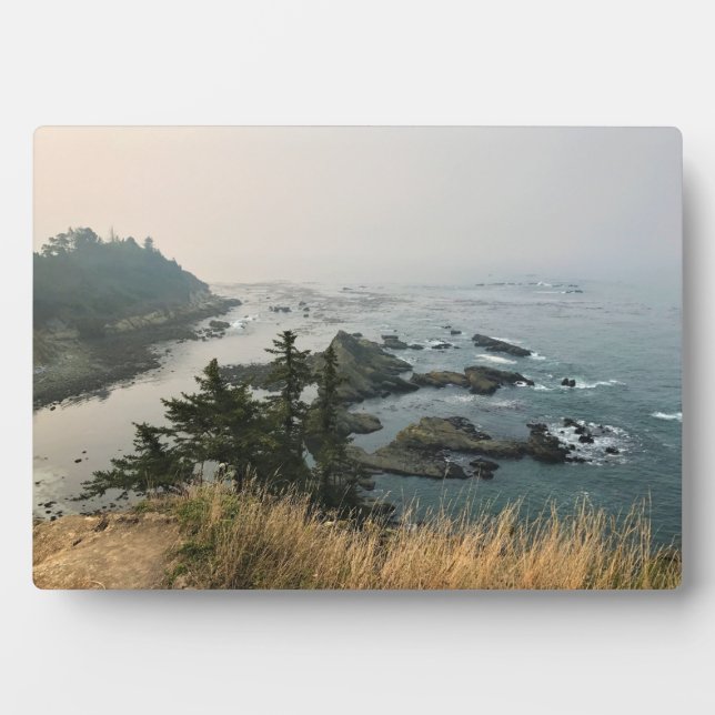 Cape Arago State Park, Oregon Coast Plaque (Front)