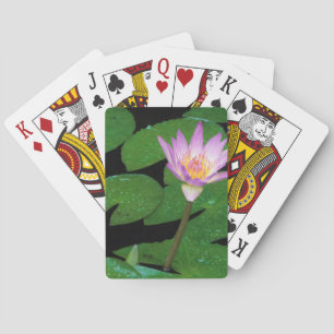 Cape Blue Water Lily (Nymphaea Capensis) Playing Cards