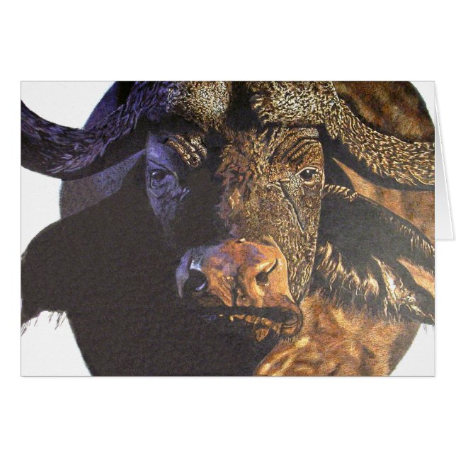 Cape Buffalo (Front Horizontal)