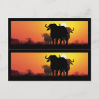 Cape Buffalo Book Markers