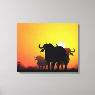 Cape Buffalo Canvas Print