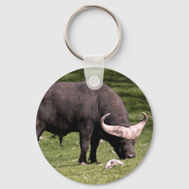 Cape Buffalo Eating Key Ring (Front)