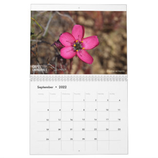 Cape Carnivores Calendar 2022