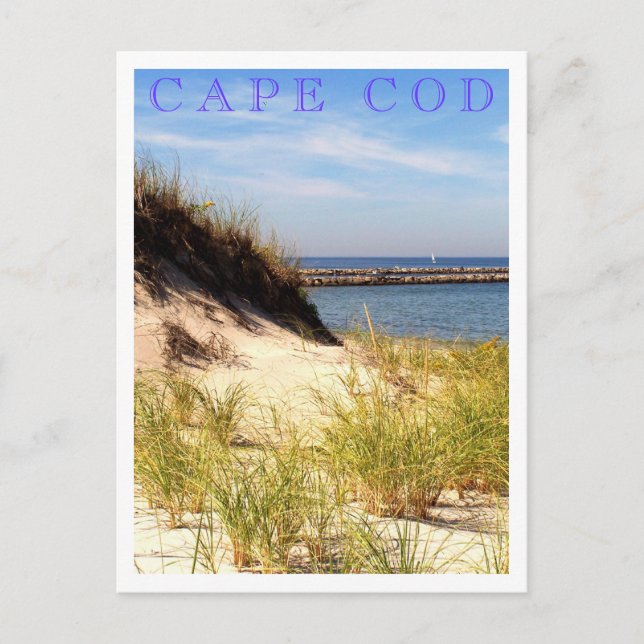Cape Cod Dune Postcard (Front)