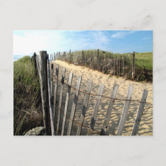Cape Cod Dunes Postcard