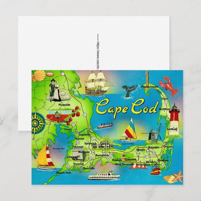 Cape Cod Illustrated Postcard (Front/Back)
