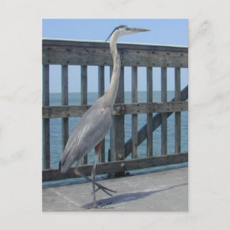 Cape Coral Florida postcard