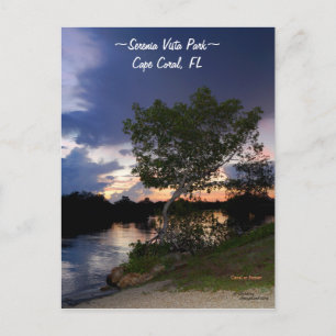 Cape Coral park canal sunset Postcard