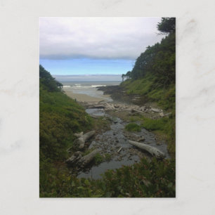 Cape Cove, Cape Perpetua, Oregon Postcard