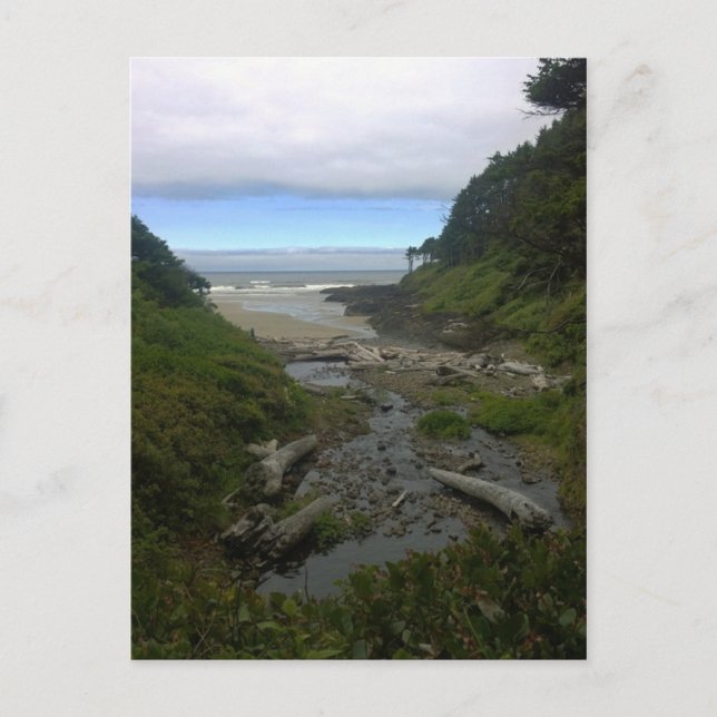 Cape Cove, Cape Perpetua, Oregon Postcard (Front)