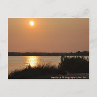 Cape Fear River Postcard