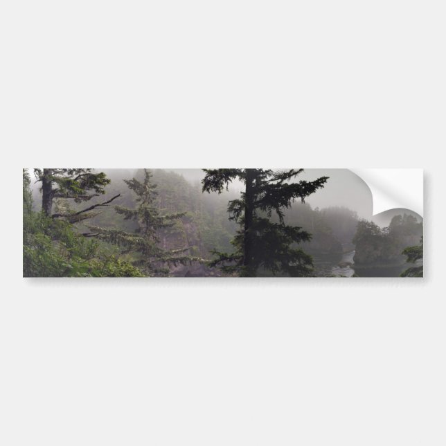 Cape Flattery bumper sticker (Front)