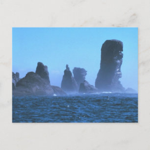 Cape Flattery Postcard