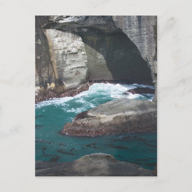 Cape Flattery Washington State Postcard (Front)