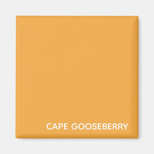 Cape Gooseberry yellow colour name Magnet