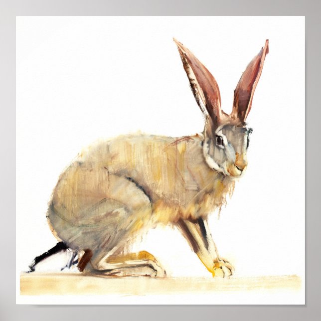 Cape Hare 2010 2 Poster (Front)