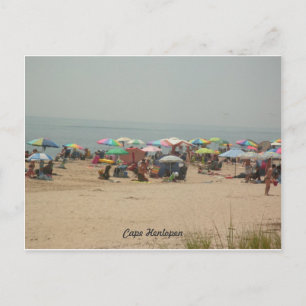 Cape Henlopen Beach Postcard