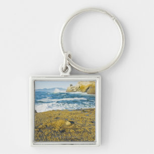 Cape Kiwanda And The Pacific Ocean Key Ring
