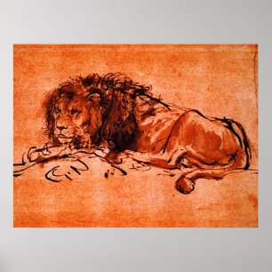 CAPE LION LYING DOWN by Rembrandt Orange Black  Poster