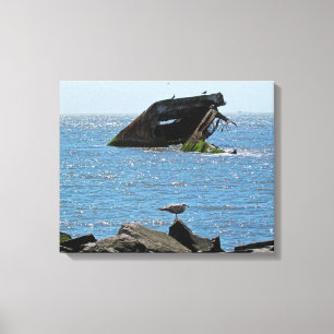 Cape May Shipwreck Canvas Print