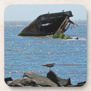 Cape May Shipwreck Coaster