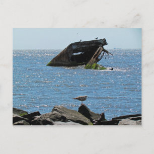 Cape May Shipwreck Postcard