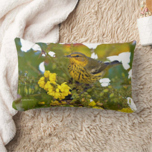 Cape May Warbler Songbird in Flowering Mahonia Lumbar Cushion