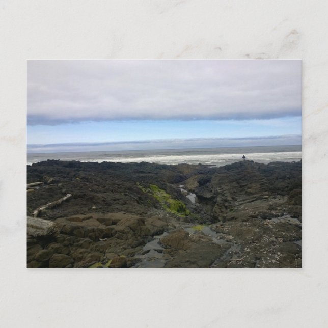 Cape Perpetua, Oregon Coast Postcard (Front)