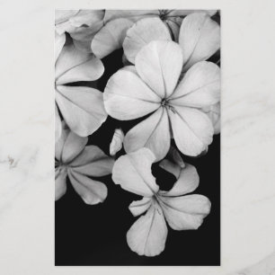Cape plumbago stationery