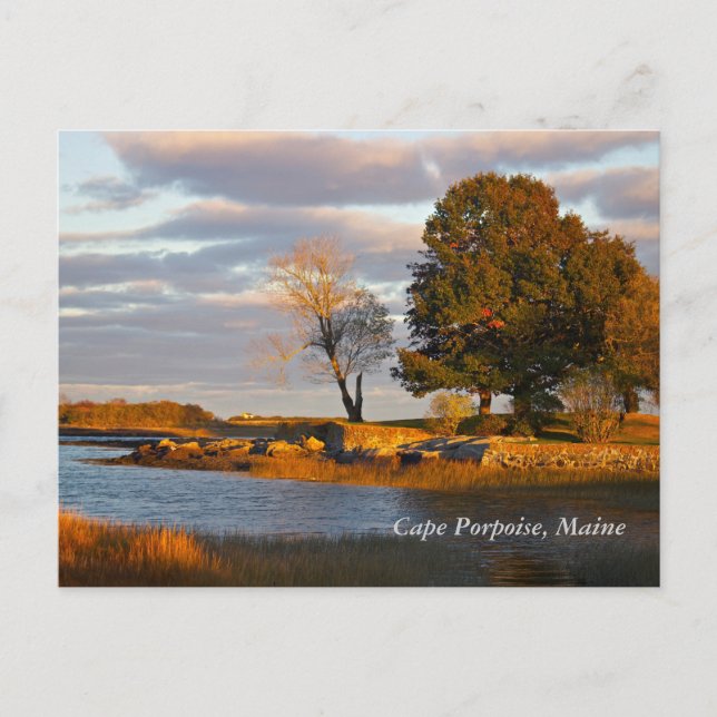 Cape Porpoise, Maine Postcard (Front)