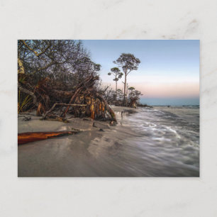 Cape San Blas, Florida Postcard