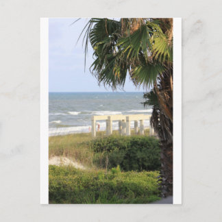 Cape San Blas Ocean Sea Mermaid Salt   Postcard