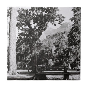 Cape Town De Waal Park Mountain South Africa ZA Tile